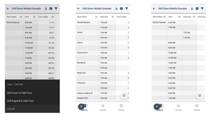 Mirus Mobile Drill Down