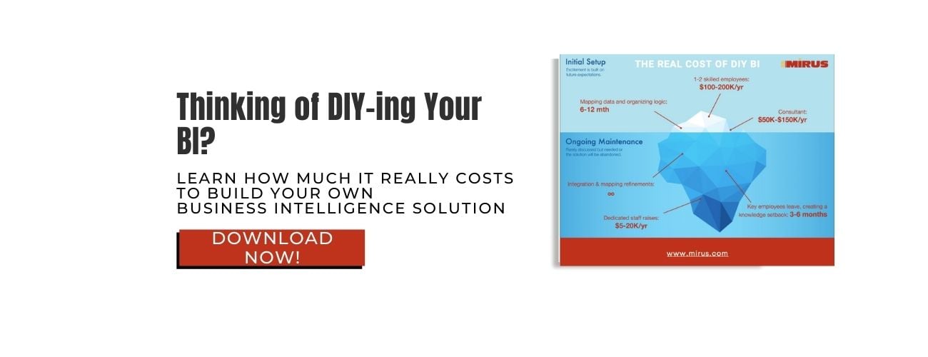 The Real Cost of DIY BI CTA